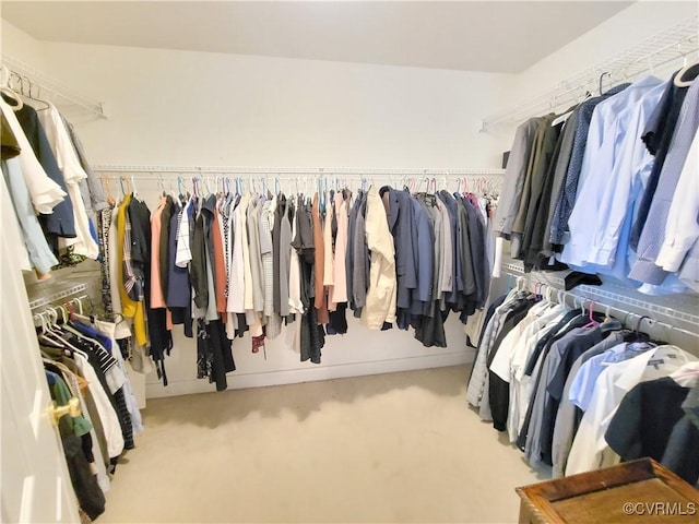 231 White Sand Ct, Colonial Heights, VA 23834 - walk in closet featuring carpet