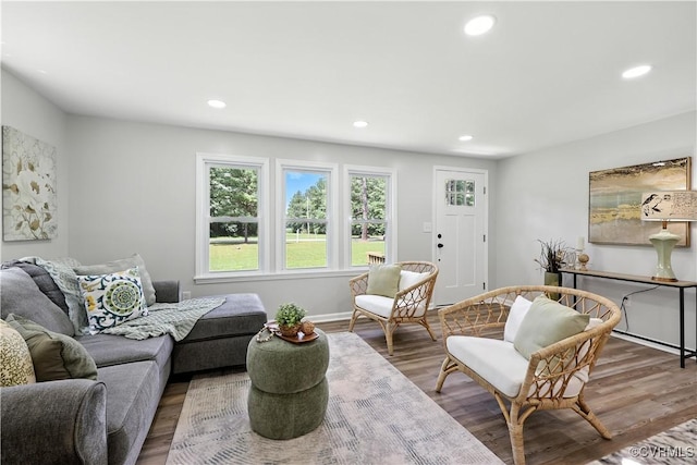 22805 Carson Rd, Carson, VA 23841 - living area featuring wood finished floors and recessed lighting