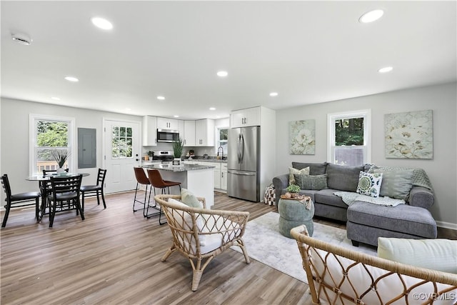 22805 Carson Rd, Carson, VA 23841 - living area featuring electric panel, recessed lighting, and light wood-type flooring