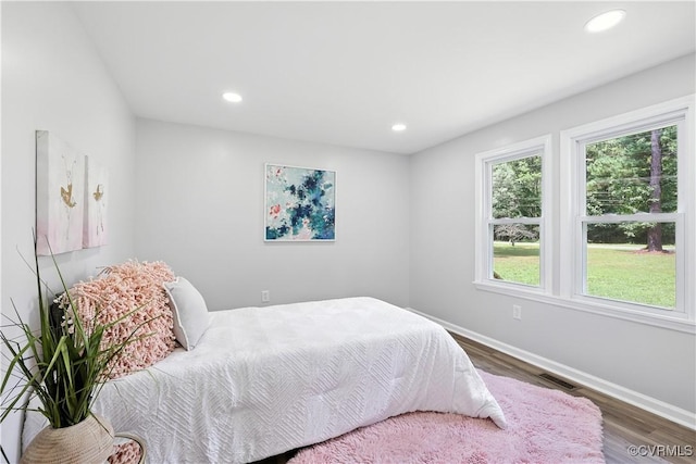 22805 Carson Rd, Carson, VA 23841 - bedroom with wood finished floors and recessed lighting