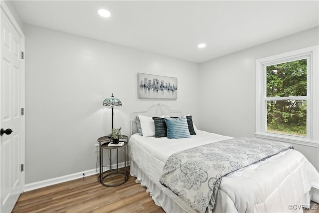 22805 Carson Rd, Carson, VA 23841 - bedroom featuring wood finished floors and recessed lighting