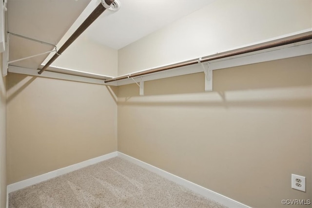 13241 Bailey Bridge Rd, North Chesterfield, VA 23112 - walk in closet featuring carpet floors