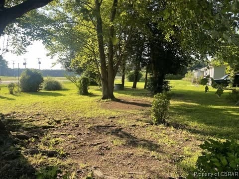 4487 Tidewater Trl, Jamaica, VA 23079 - view of grassy yard