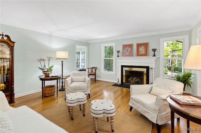 9039 Wood Sorrel Dr, Henrico, VA 23229 - living room with ornamental molding, light wood-style flooring, and a fireplace with flush hearth