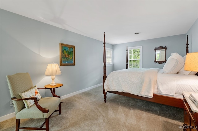 9039 Wood Sorrel Dr, Henrico, VA 23229 - carpeted bedroom with baseboards