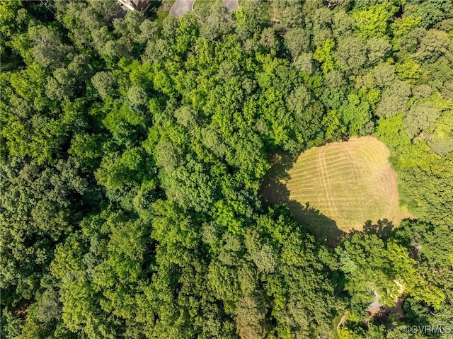 217 Dryden Ln, Henrico, VA 23229