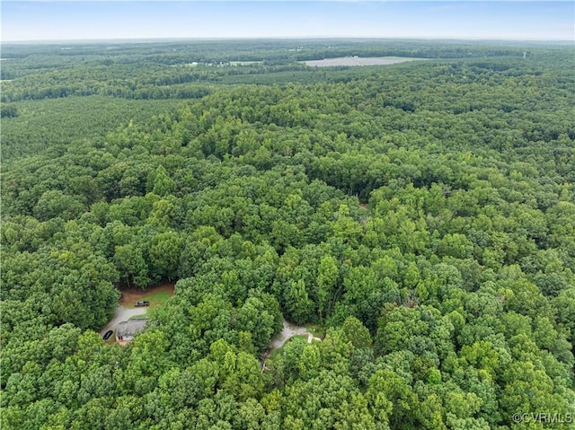 4508 Philips Path, Kents Store, VA 23084 - view of property location with a heavily wooded area
