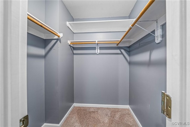 4508 Philips Path, Kents Store, VA 23084 - walk in closet featuring carpet