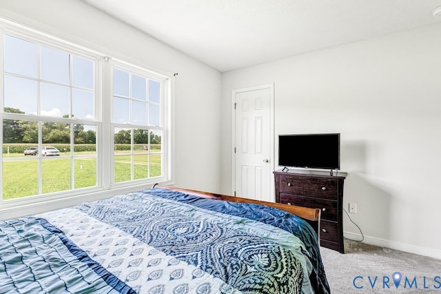 1018 Eubanks Rd, Dunnsville, VA 22454 - photo 15