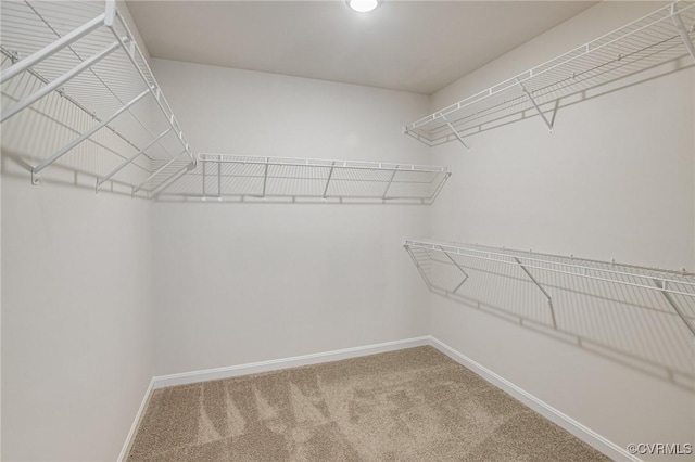 7127 Braxton Ct, Ladysmith, VA 22546 - walk in closet featuring carpet floors