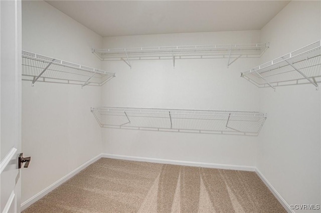 7107 Braxton Ct, Ladysmith, VA 22546 - walk in closet featuring carpet