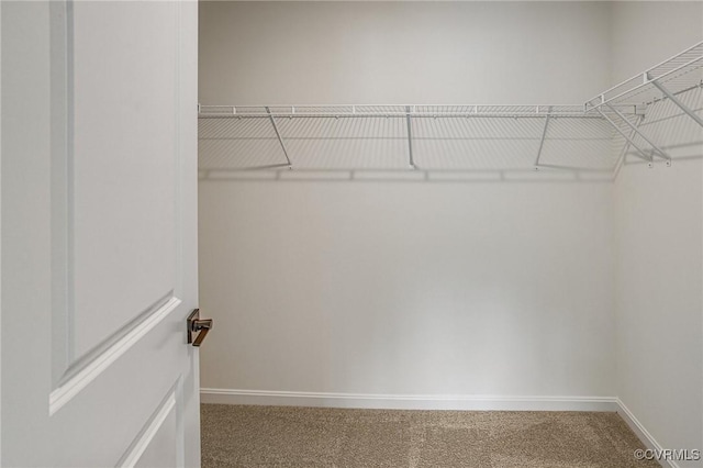 7107 Braxton Ct, Ladysmith, VA 22546 - spacious closet with carpet floors