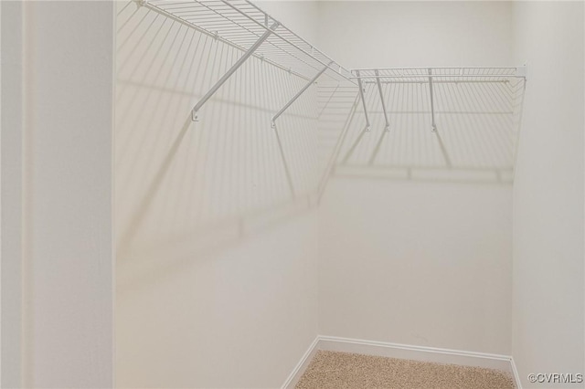 7107 Braxton Ct, Ladysmith, VA 22546 - spacious closet featuring carpet