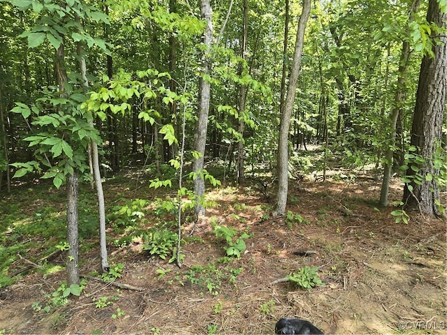481 Bradshaw Rd, Rice, VA 23966 - photo 23