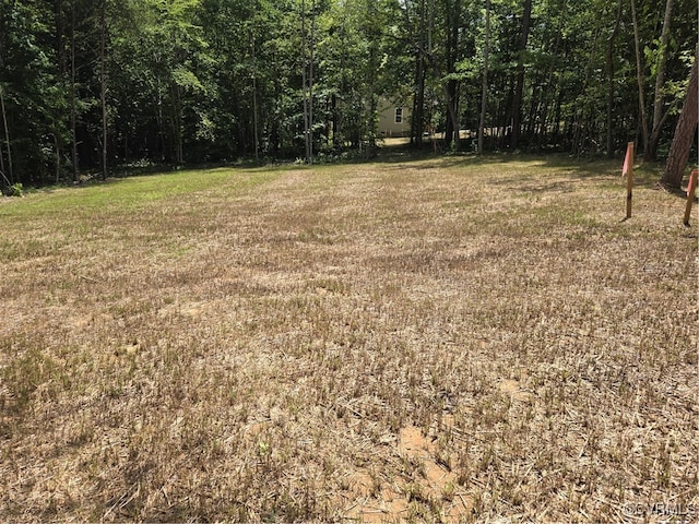 481 Bradshaw Rd, Rice, VA 23966 - photo 24