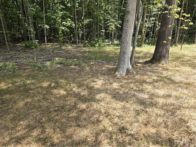 481 Bradshaw Rd, Rice, VA 23966 - photo 25