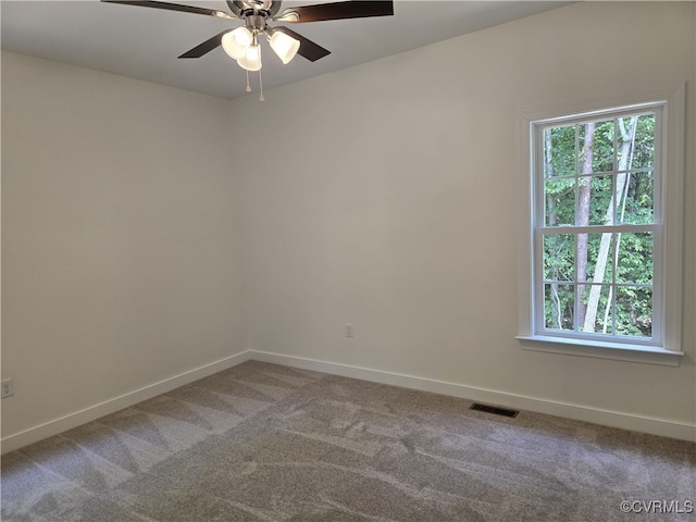 481 Bradshaw Rd, Rice, VA 23966 - photo 15