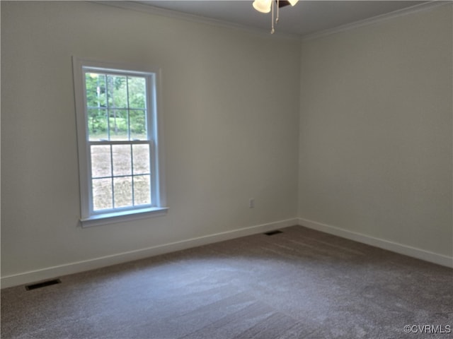 481 Bradshaw Rd, Rice, VA 23966 - photo 11