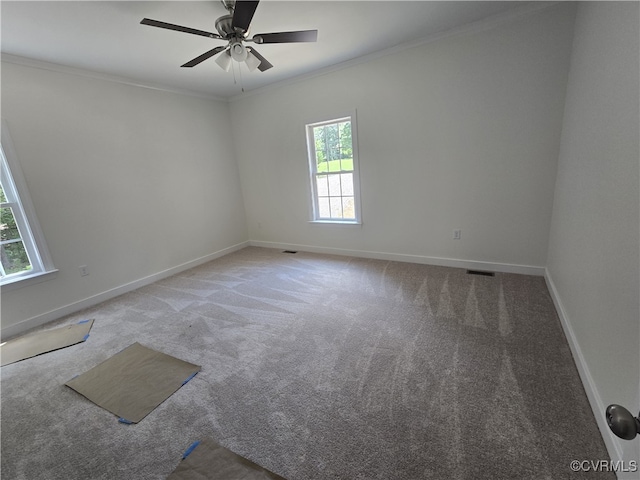 481 Bradshaw Rd, Rice, VA 23966 - photo 13