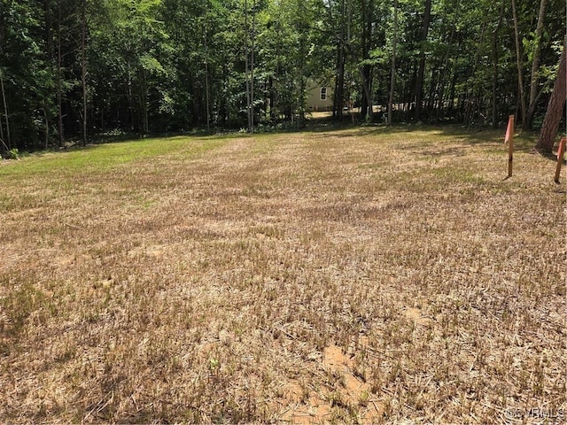 423 Bradshaw Rd, Rice, VA 23966 - view of yard with a forest view