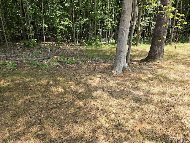 423 Bradshaw Rd, Rice, VA 23966 - view of local wilderness