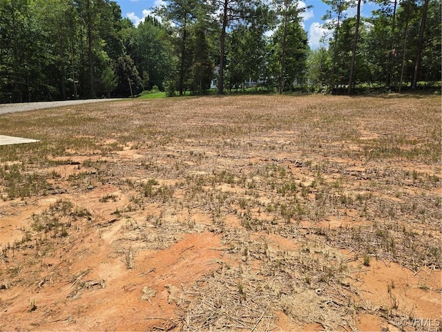 423 Bradshaw Rd, Rice, VA 23966 - view of undeveloped land