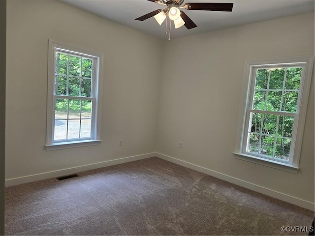 423 Bradshaw Rd, Rice, VA 23966 - photo 9