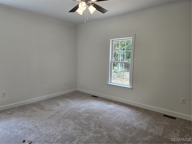 423 Bradshaw Rd, Rice, VA 23966 - photo 13