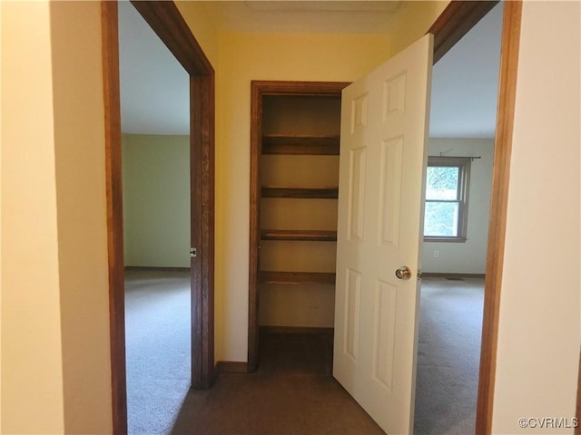 15805 Roland View Dr, Chesterfield, VA 23831 - corridor featuring carpet and baseboards
