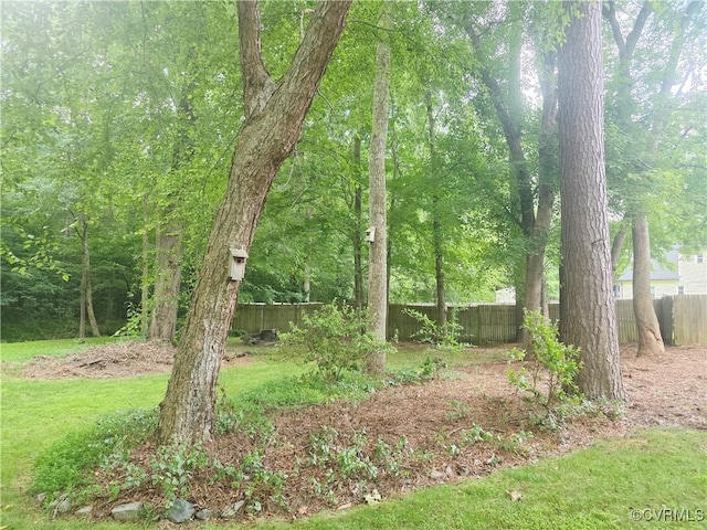 15805 Roland View Dr, Chesterfield, VA 23831 - view of yard