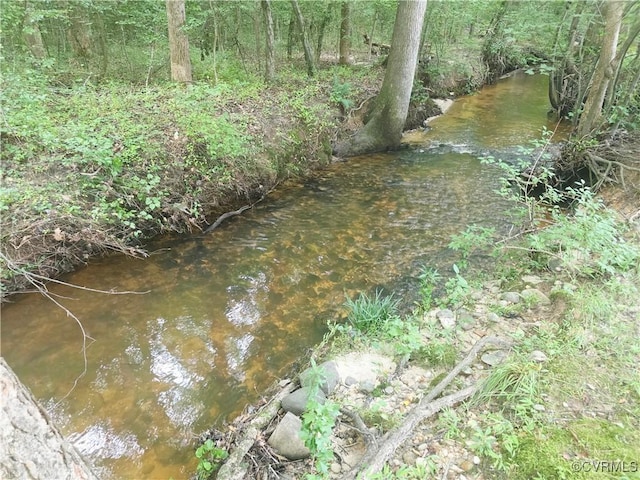 15805 Roland View Dr, Chesterfield, VA 23831 - view of nature