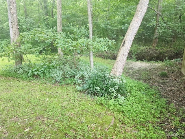 15805 Roland View Dr, Chesterfield, VA 23831 - view of wooded area