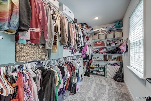 5025 Ellis Meadows Ct, Glen Allen, VA 23059 - walk in closet with carpet flooring