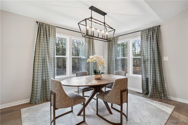 LOT47 Wendenburg Cir Lot 47, King William, VA 23009 - dining space featuring a chandelier, plenty of natural light, and wood finished floors