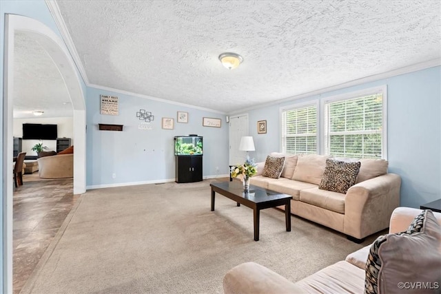4627 Powhatan Lakes Rd Unit B, Powhatan, VA 23139 - living area featuring crown molding, arched walkways, a textured ceiling, lofted ceiling, and light colored carpet