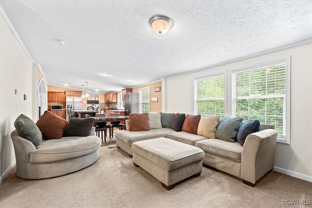 4627 Powhatan Lakes Rd Unit B, Powhatan, VA 23139 - living room featuring a textured ceiling, plenty of natural light, ornamental molding, and light carpet