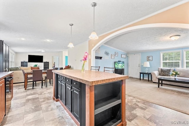 4627 Powhatan Lakes Rd Unit B, Powhatan, VA 23139 - kitchen with open floor plan, a textured ceiling, light countertops, stainless steel dishwasher, and crown molding