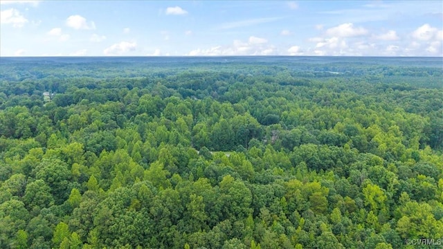 4627 Powhatan Lakes Rd Unit B, Powhatan, VA 23139 - bird's eye view of a heavily wooded area