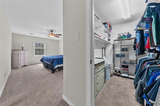 7906 Belmont Stakes Dr, Midlothian, VA 23112 - walk in closet featuring carpet flooring and a ceiling fan