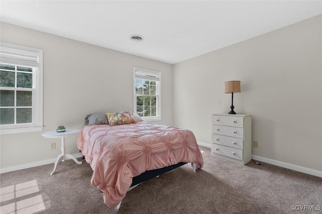 7906 Belmont Stakes Dr, Midlothian, VA 23112 - bedroom featuring carpet floors
