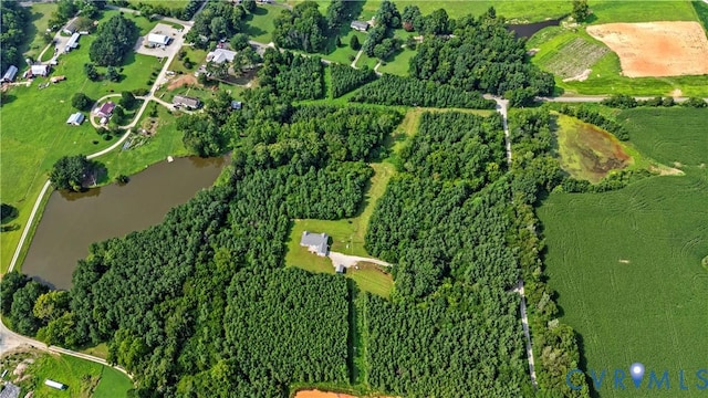 17151 Genito Rd, Amelia Courthouse, VA 23002 - photo 45
