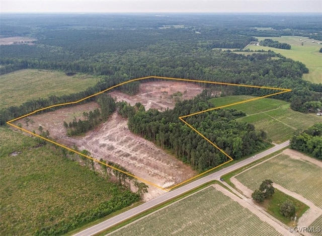 0 N Old Stage Rd, Lawrenceville, VA 23868 - photo 1