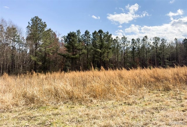 0 N Old Stage Rd, Lawrenceville, VA 23868 - photo 4