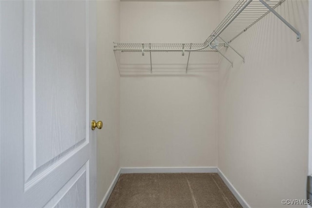 11325 Weeping Cherry Ln, Moseley, VA 23120 - photo 28