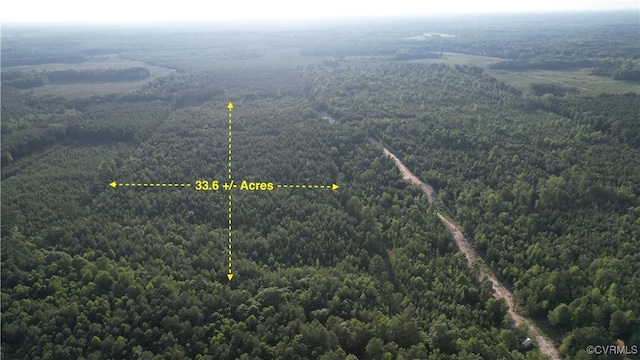 N/A Nary Ln, Disputanta, VA 23842 - photo 2