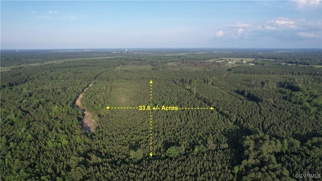 N/A Nary Ln, Disputanta, VA 23842 - photo 3