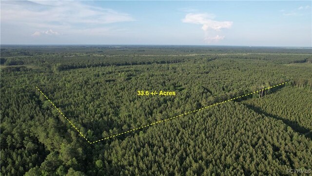 N/A Nary Ln, Disputanta, VA 23842 - photo 4