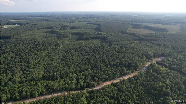 N/A Nary Ln, Disputanta, VA 23842 - photo 5
