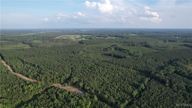 N/A Nary Ln, Disputanta, VA 23842 - photo 6