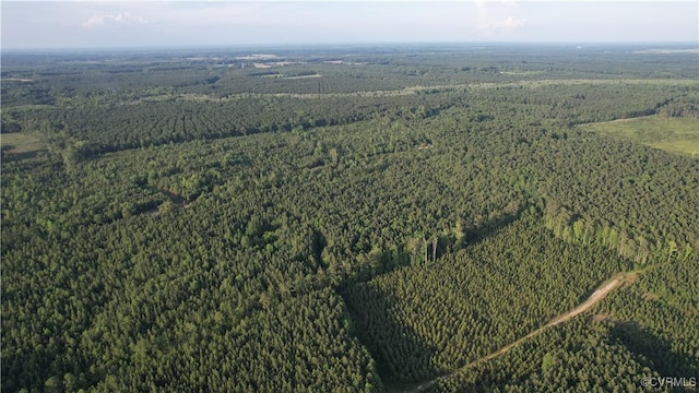 N/A Nary Ln, Disputanta, VA 23842 - photo 7